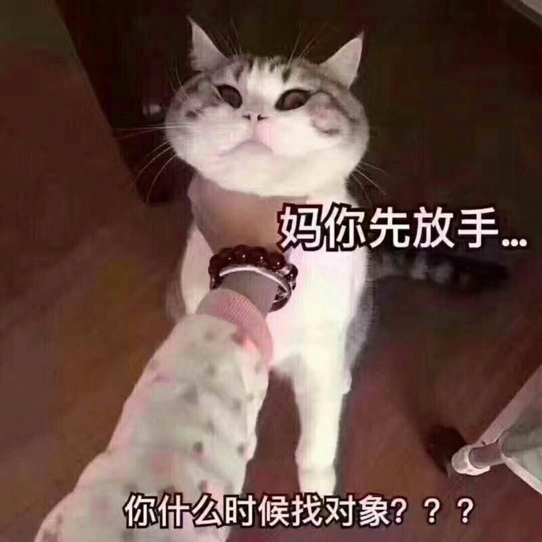明知的头像