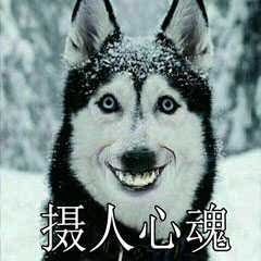 欧阳群的头像
