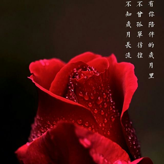巧儿55839的自频道-优酷视频