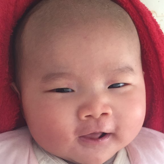 叶子的头像