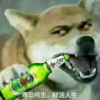 辣鸡的头像