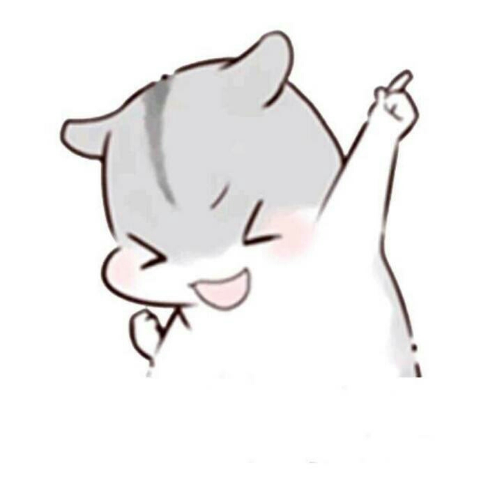 溯月的头像