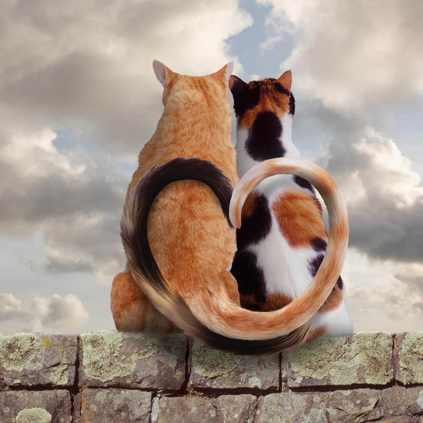 火龙果82293的自频道-优酷视频