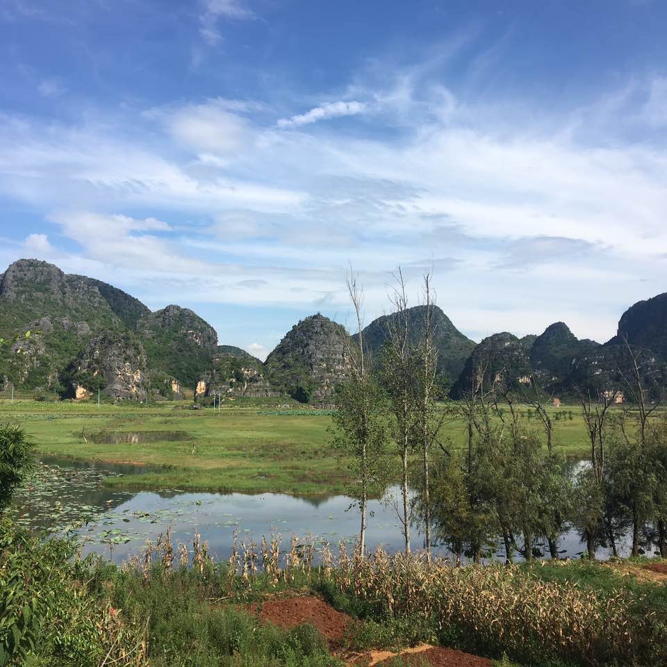 The的头像