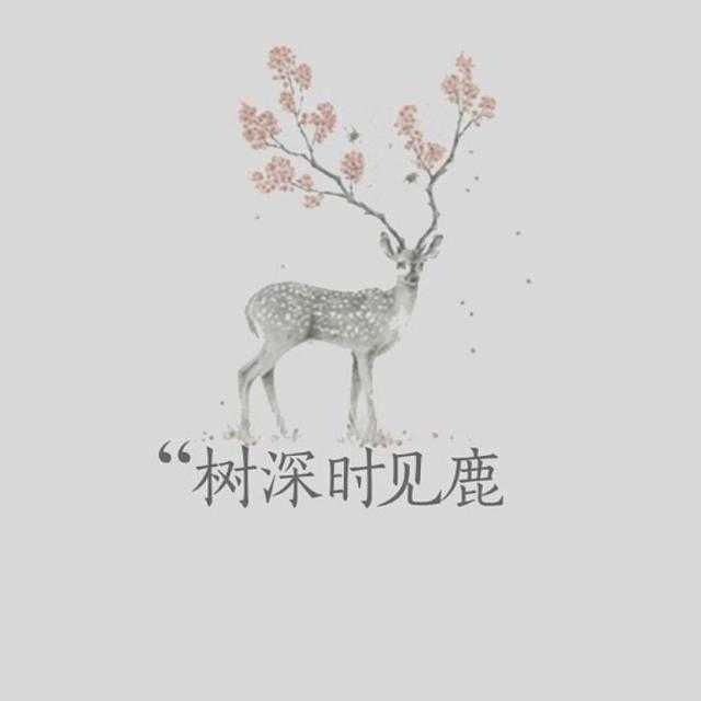 汪喵的头像