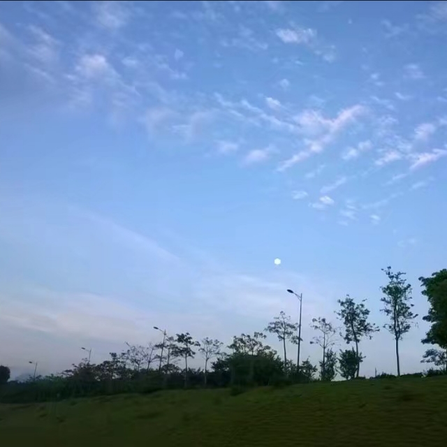 传说中的大虾的头像