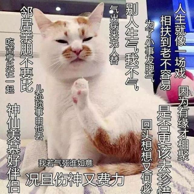 恶霸齐格还我天草的头像