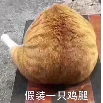 我还会再回来的的头像