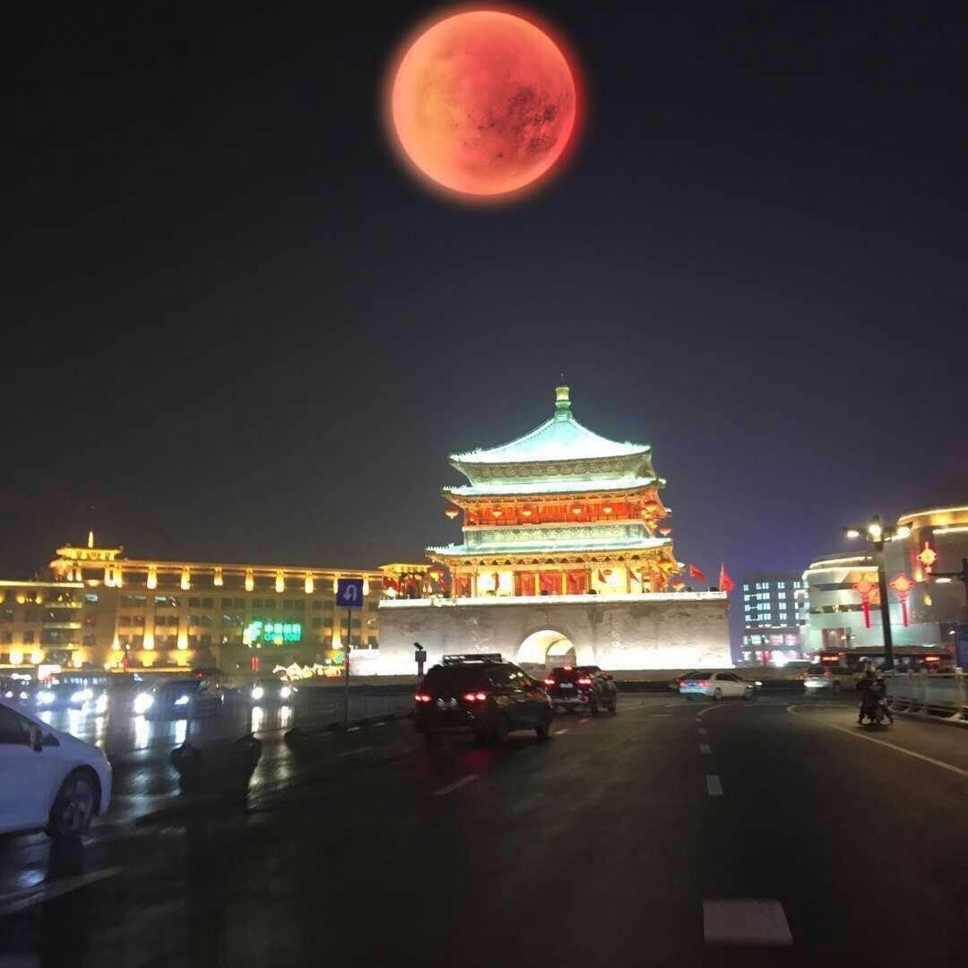 刘虎的头像
