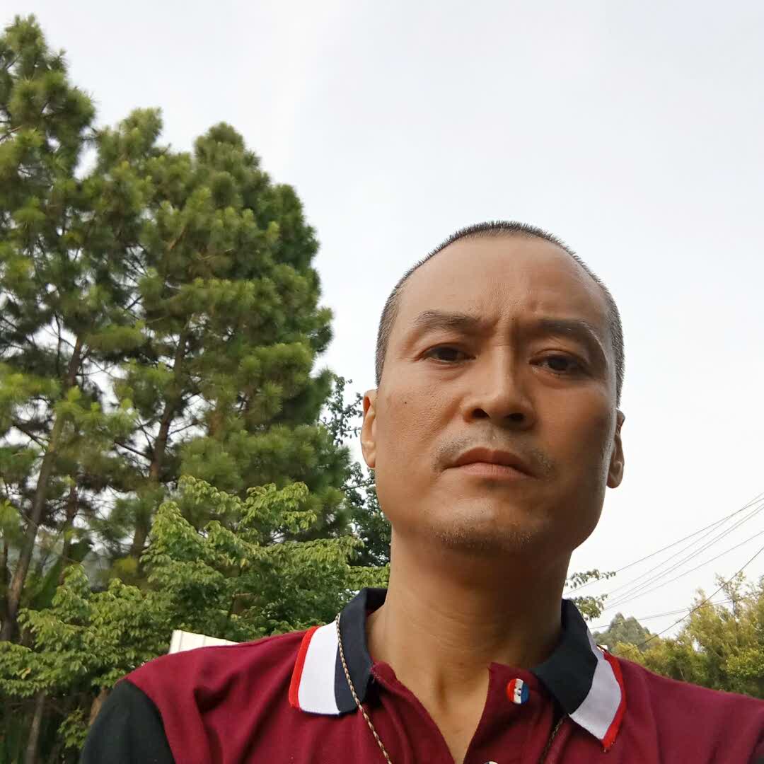 玉树长青的头像