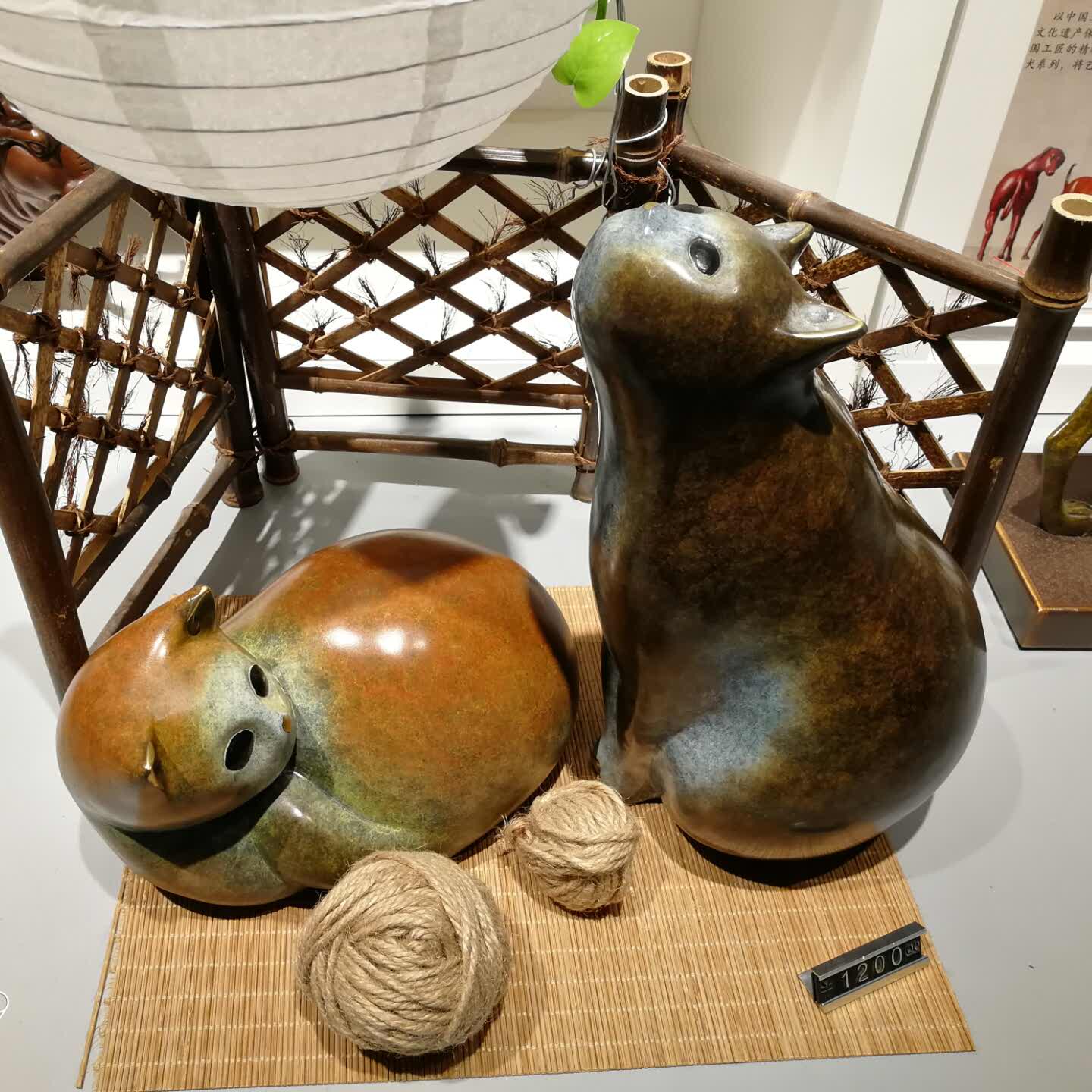 病菌袁猎猎的头像