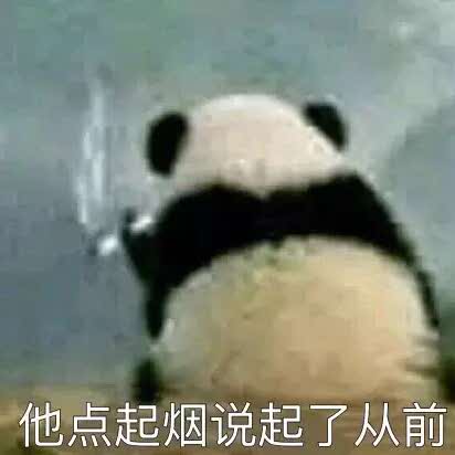 自己的头像