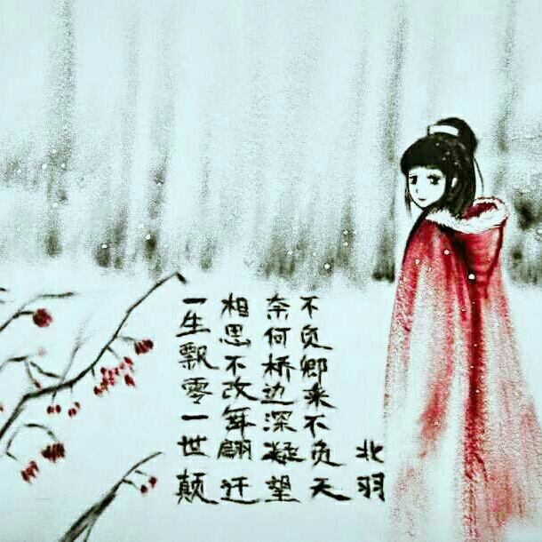 北羽的头像