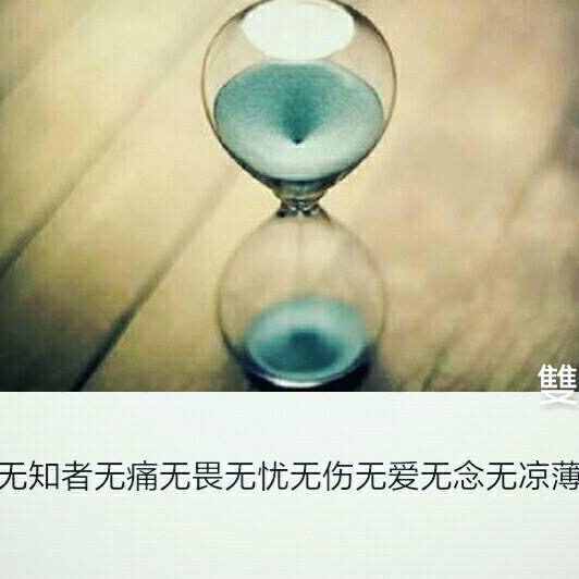 书友924664306的头像
