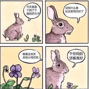 西巴路嘛的头像