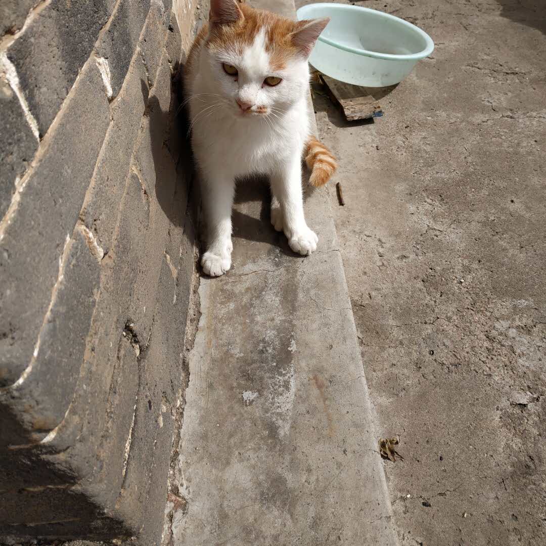 小子的头像