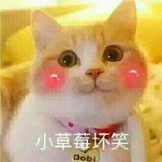 且待初见的头像