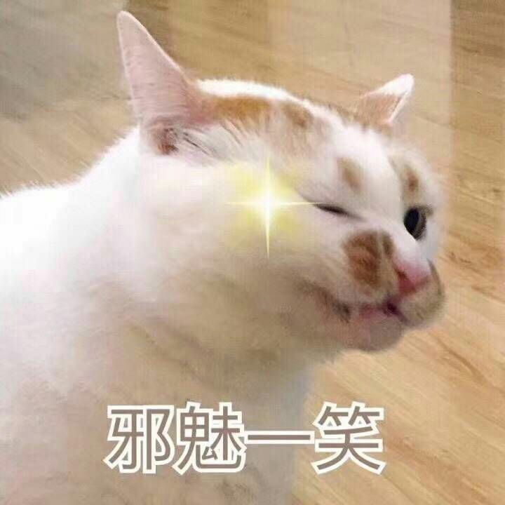 倾的头像