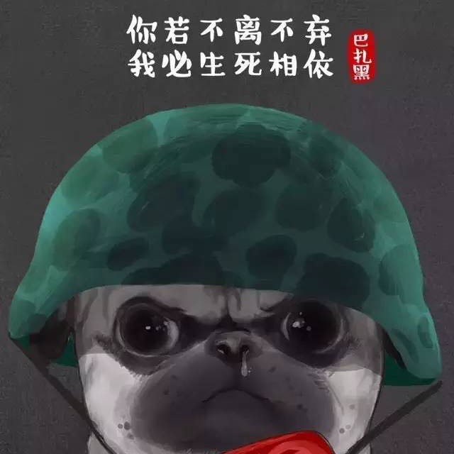 小小口袋的头像