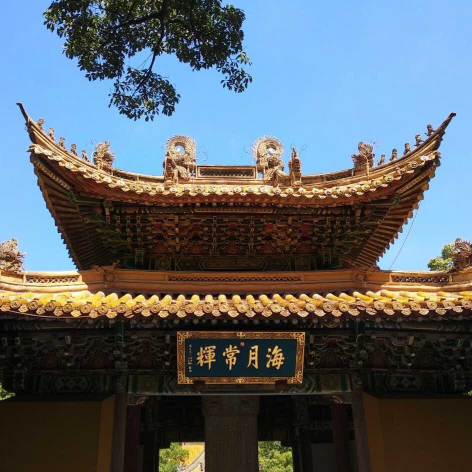九霄的头像