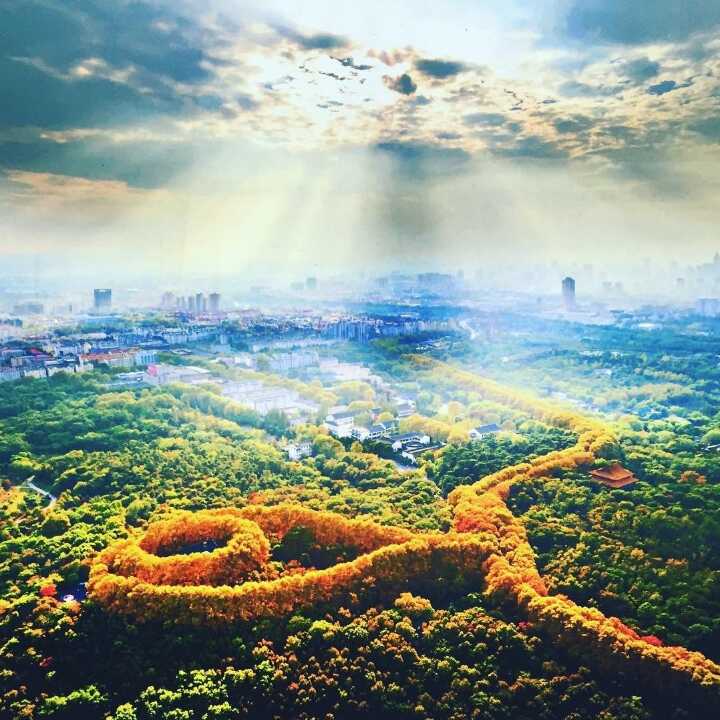 今队长的头像