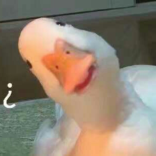 凛夜的头像