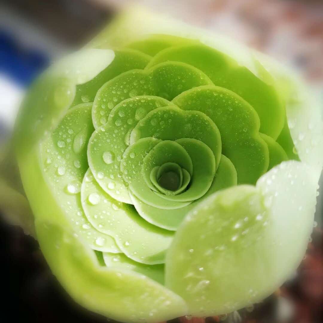 于陈子悦的头像