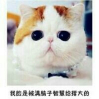 秋叶紫苏的头像
