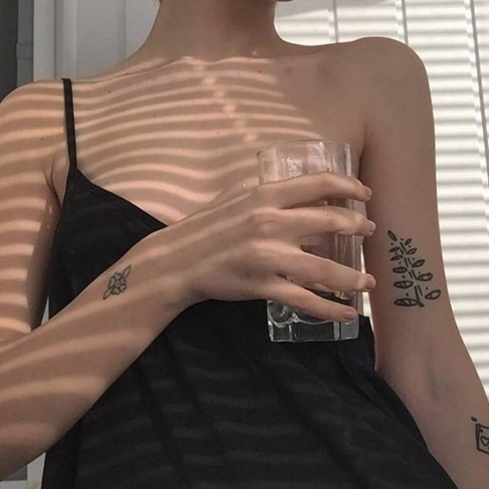 书友908551868的头像