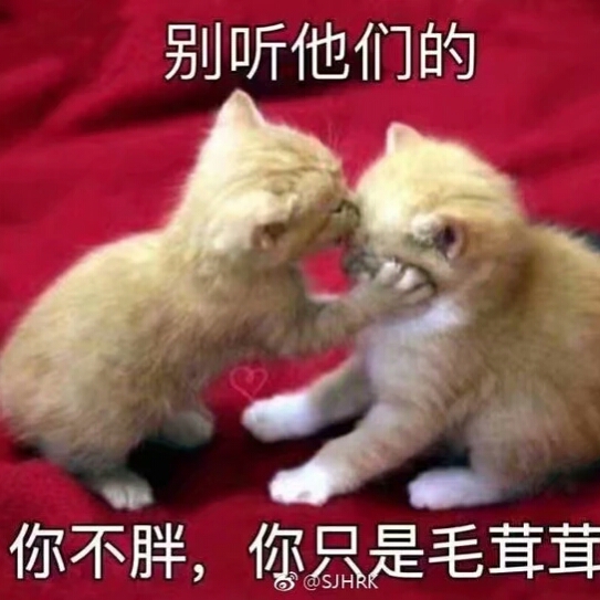 蔡W的头像