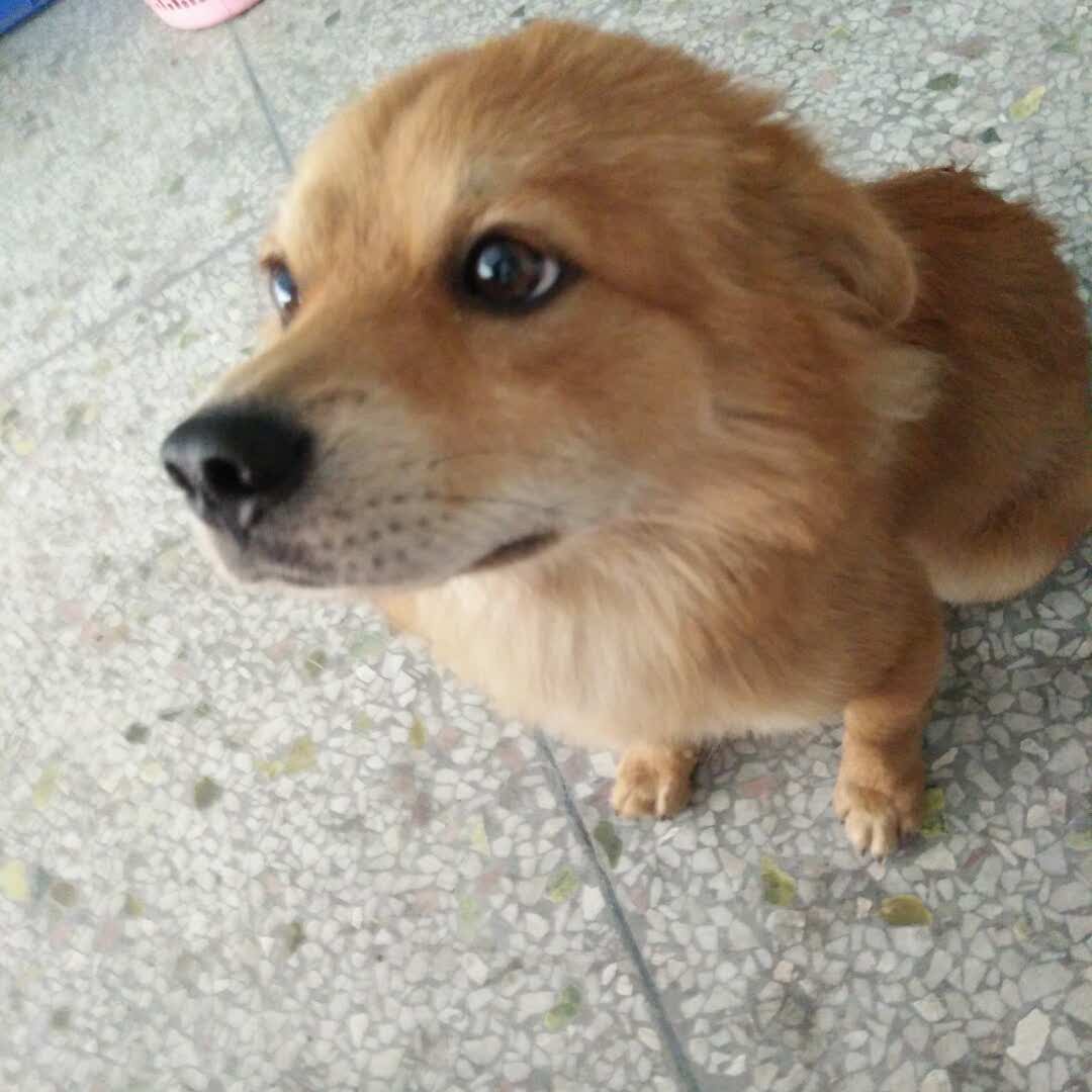 等闲变却故人心的头像