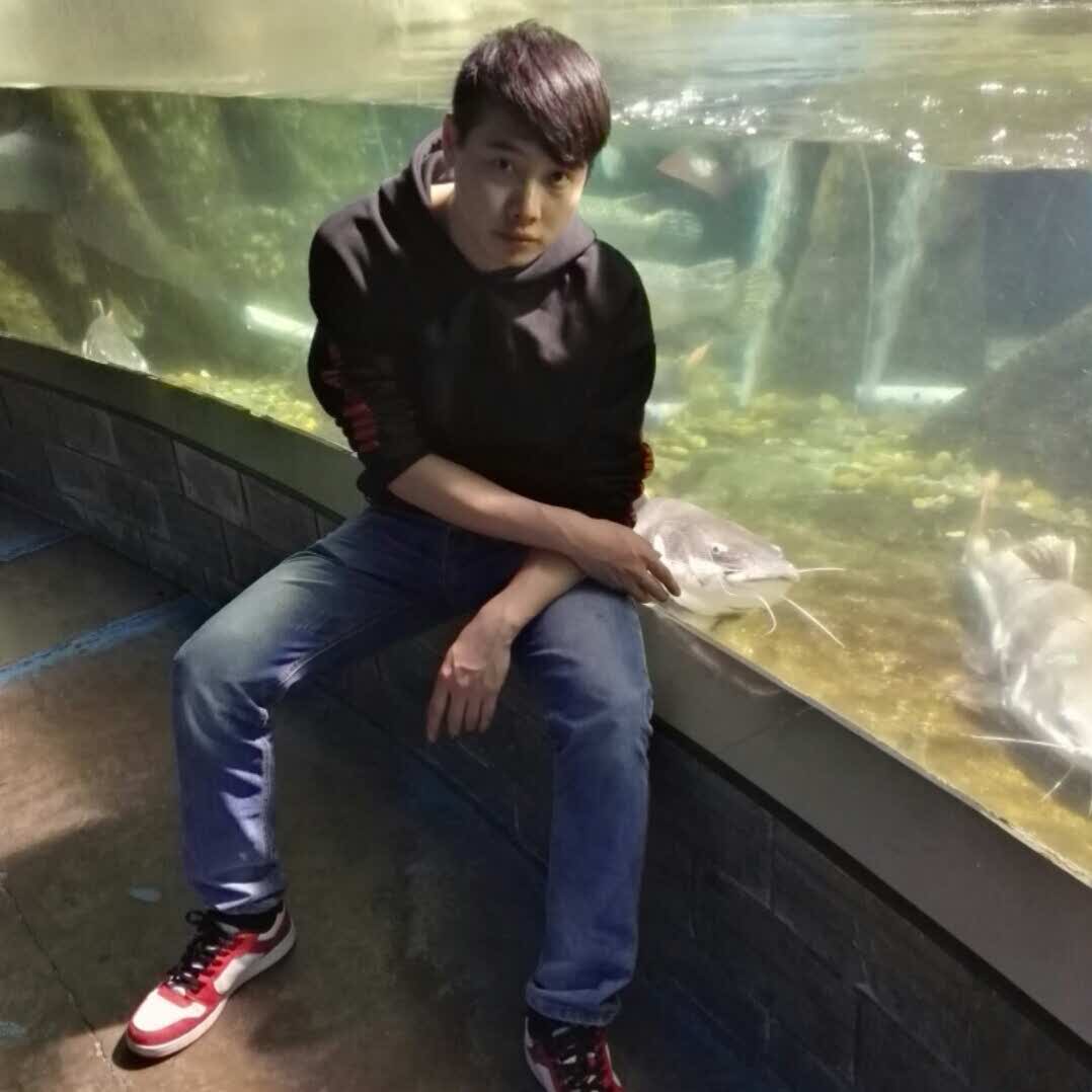 第五的头像