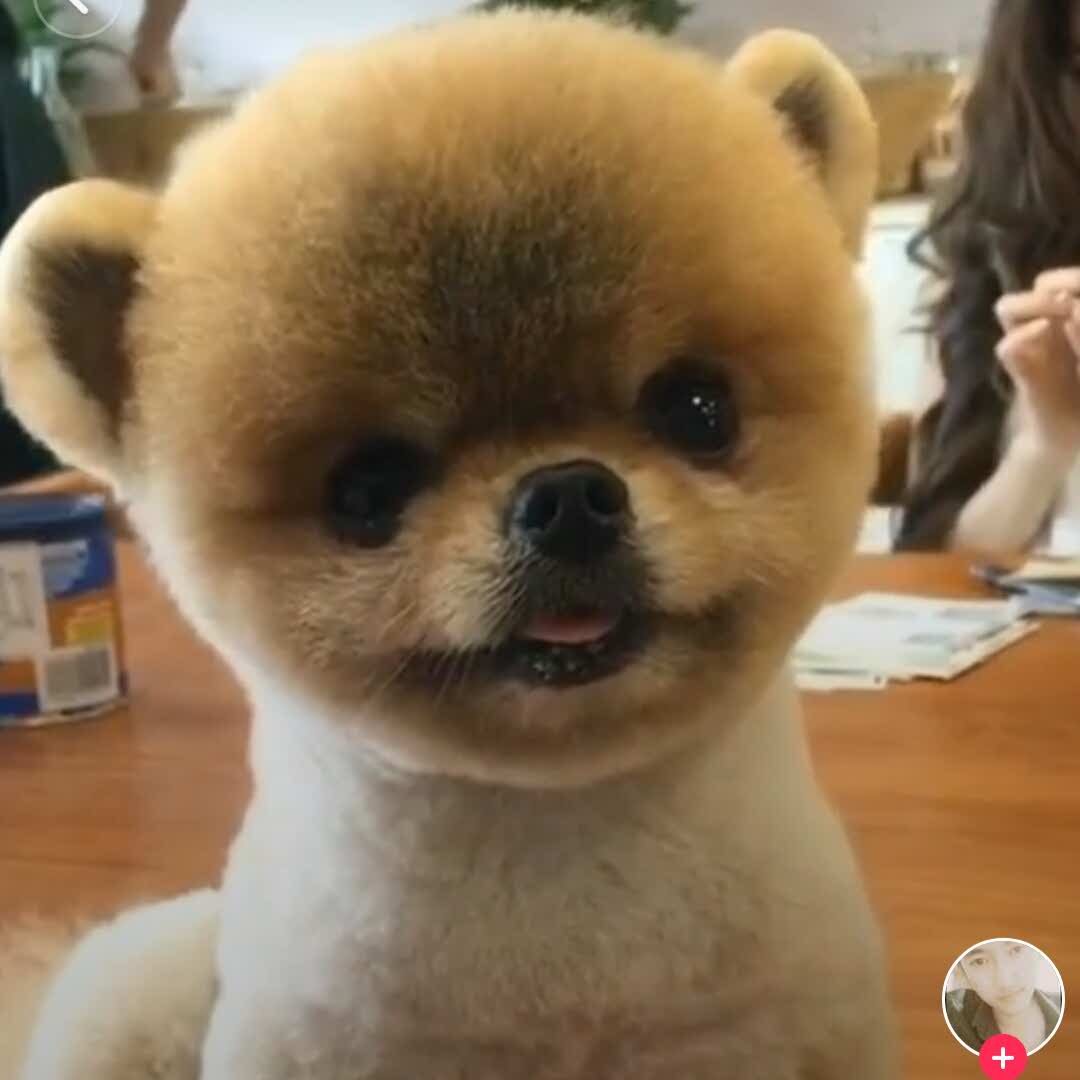 小姿态的头像