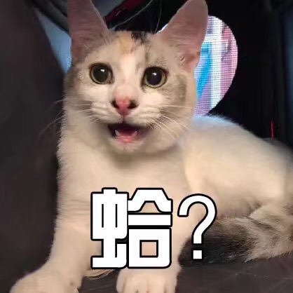 Snowbaby的头像