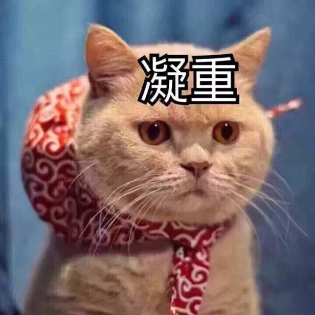 书友1095626404的头像