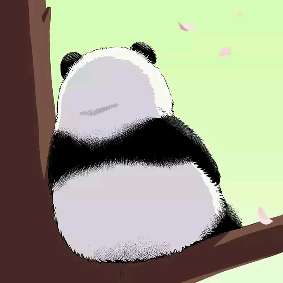 艾克沙修的头像