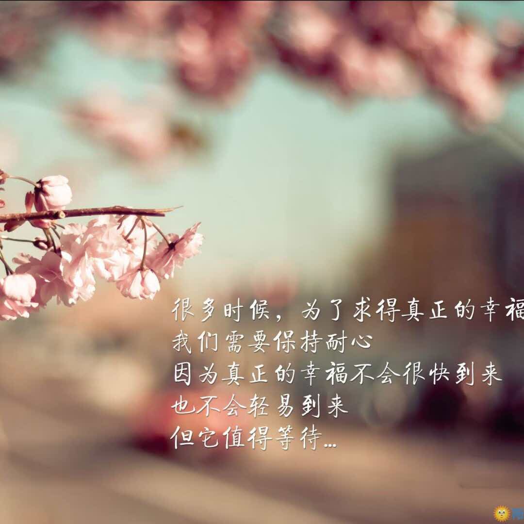 恋慕zichen1Z3的头像
