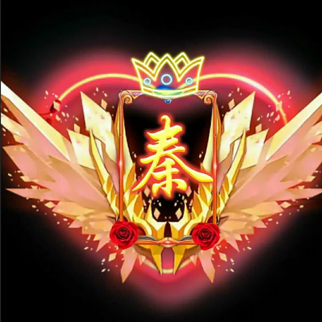 书友1151155405的头像