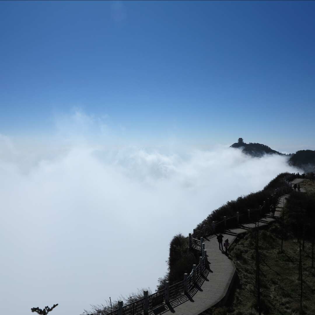 王林的头像-美金梦