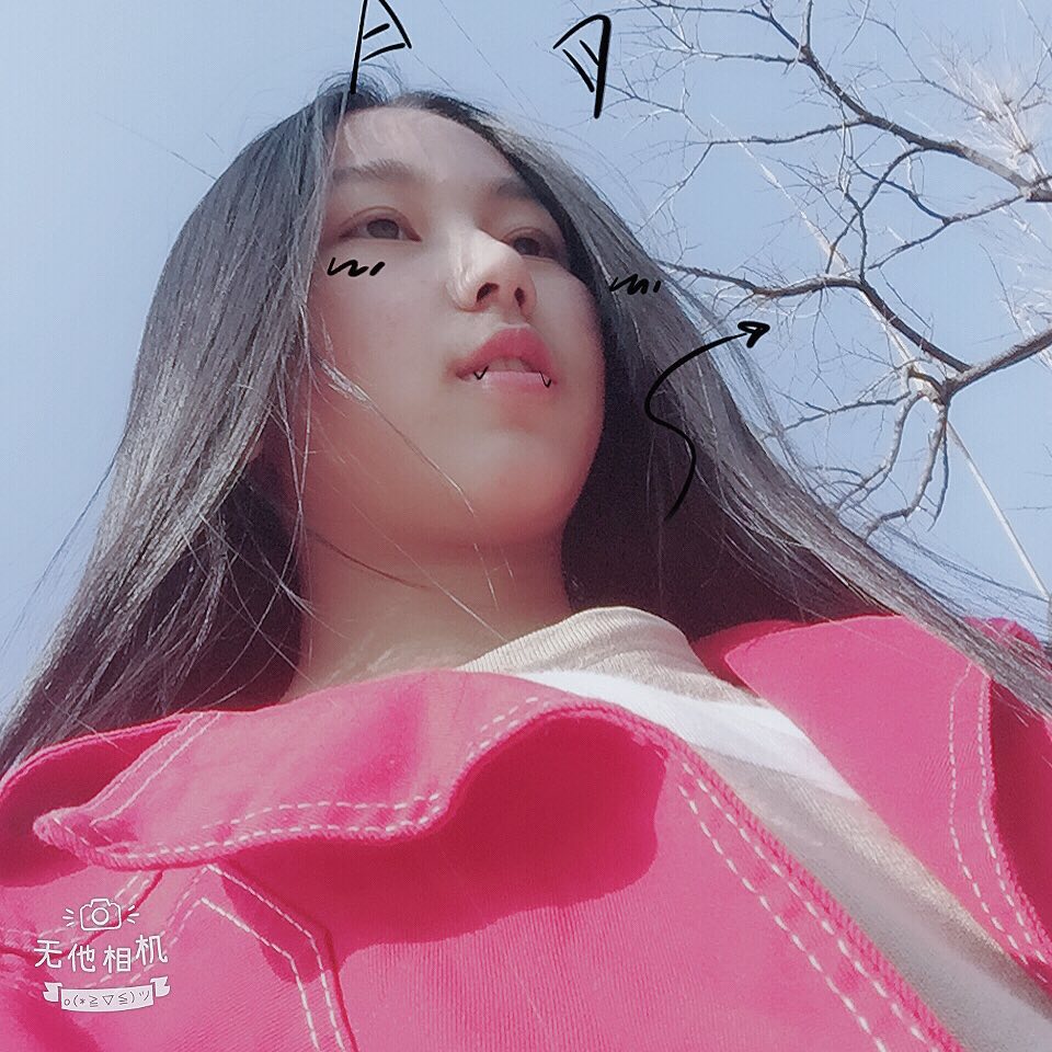 琳大大的头像