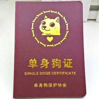 小晨的头像