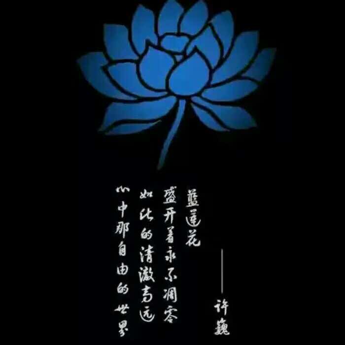 圣诺的头像