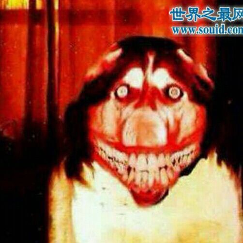 张宇航的头像