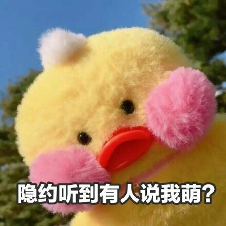 愿安一笑而过的头像