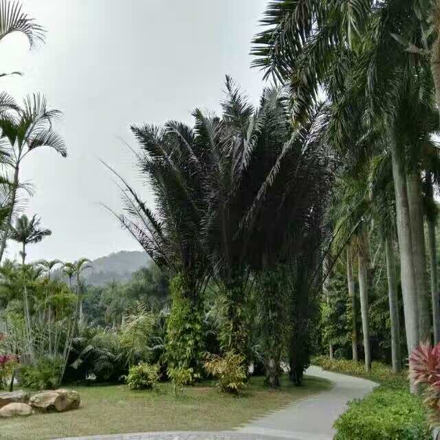 钱塘江之南的头像