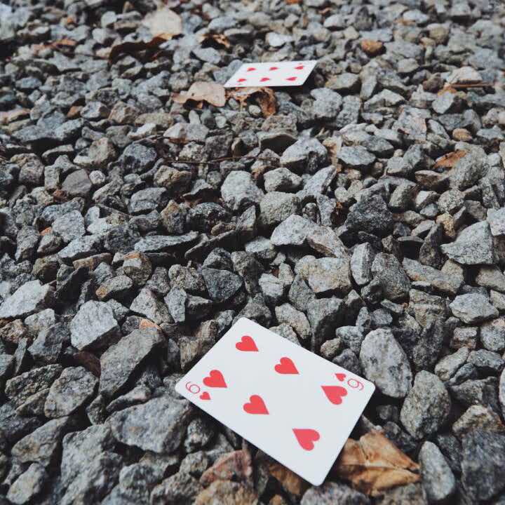 之棋的头像