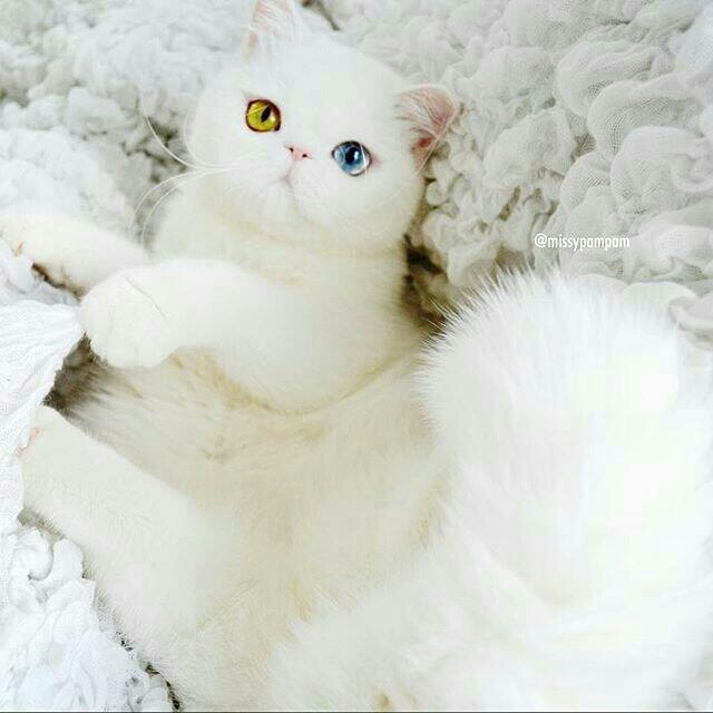 书友928392982的头像