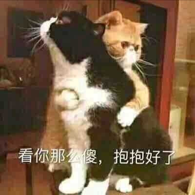 寻觅的头像