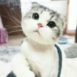 沫的头像