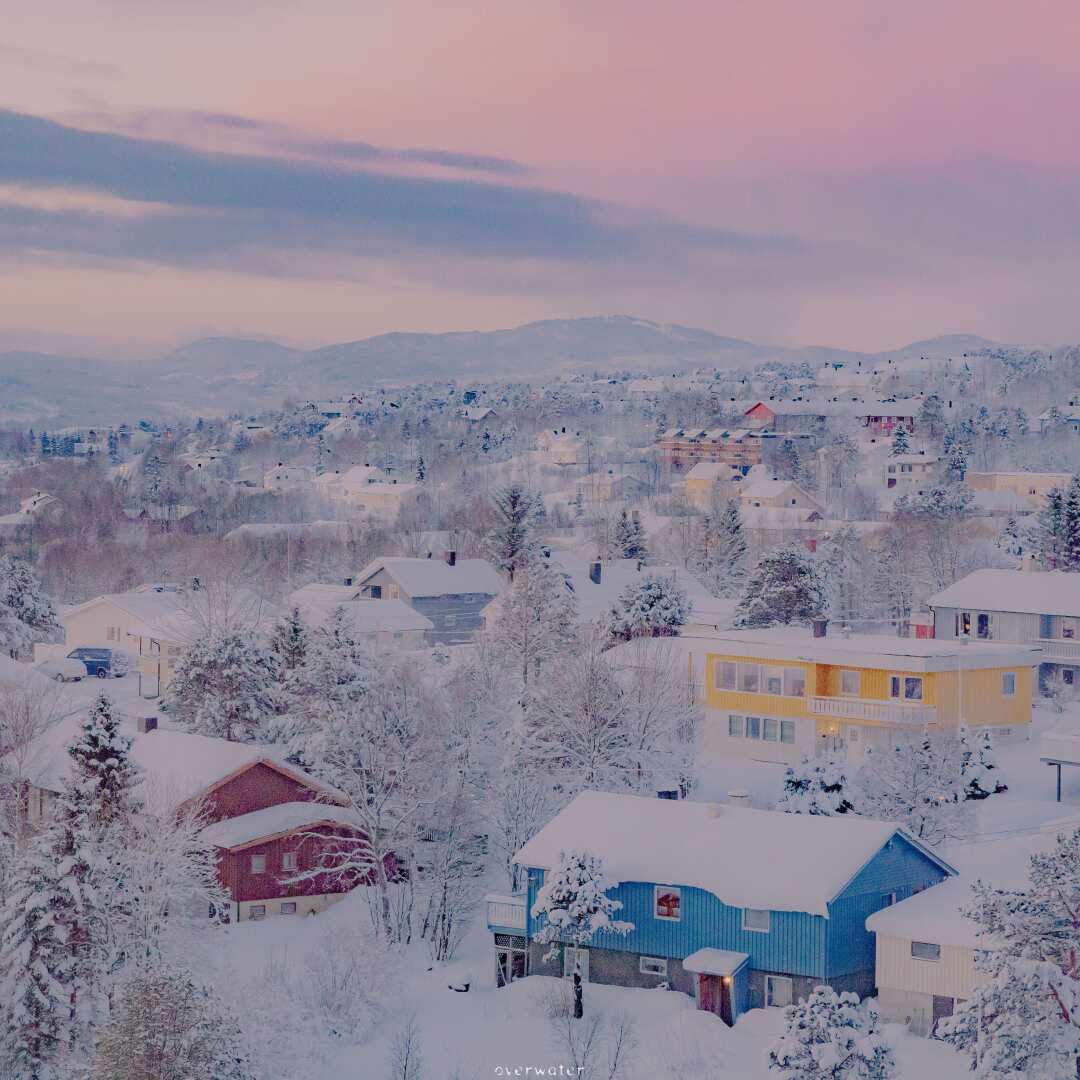 pelant的头像-洛雪音乐助手-软件分享